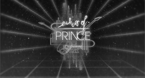 Echoes_of_Prince 