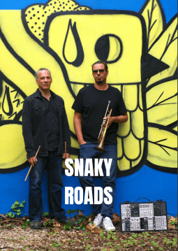 Snaky Roads 